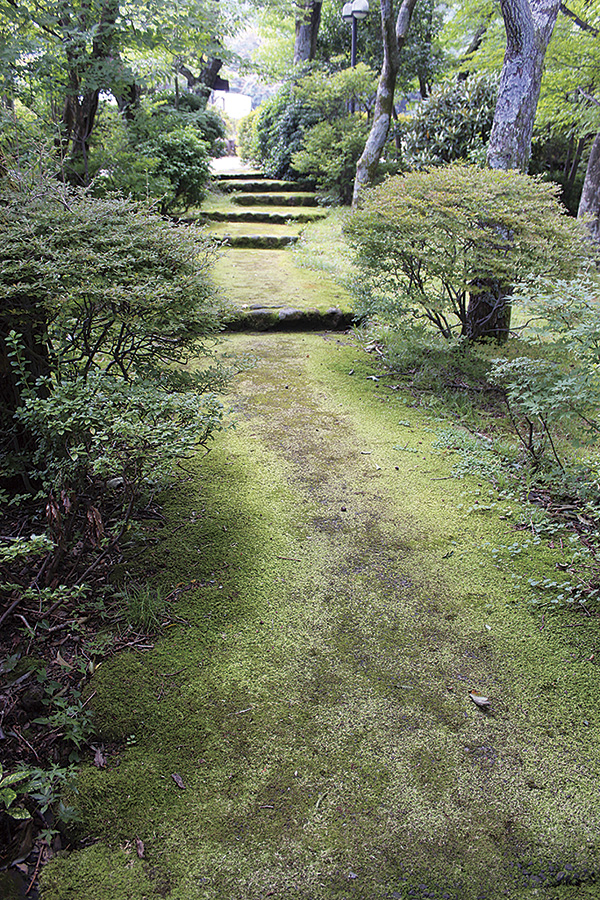 ちょびっと旅サブ写真2