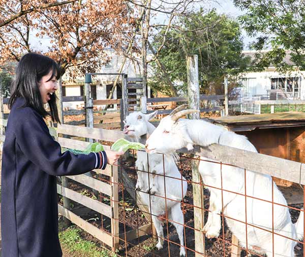 ちょびっと旅サブ写真1