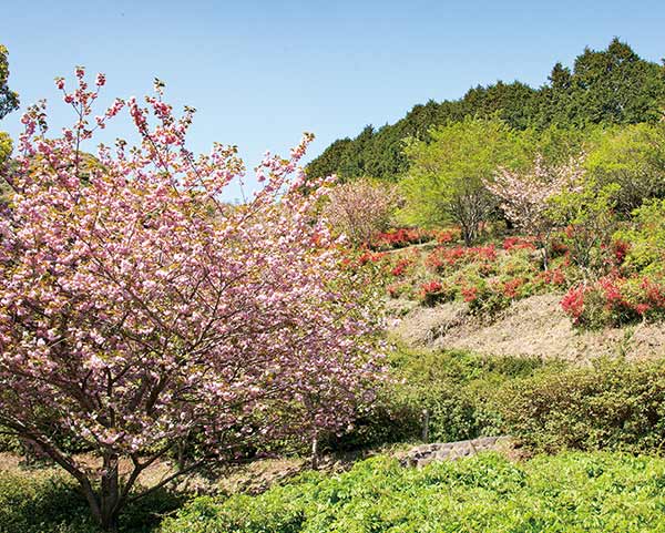 ちょびっと旅サブ写真1