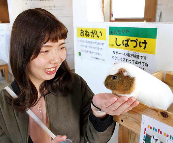 ちょびっと旅サブ写真2