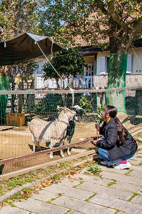 ちょびっと旅サブ写真3