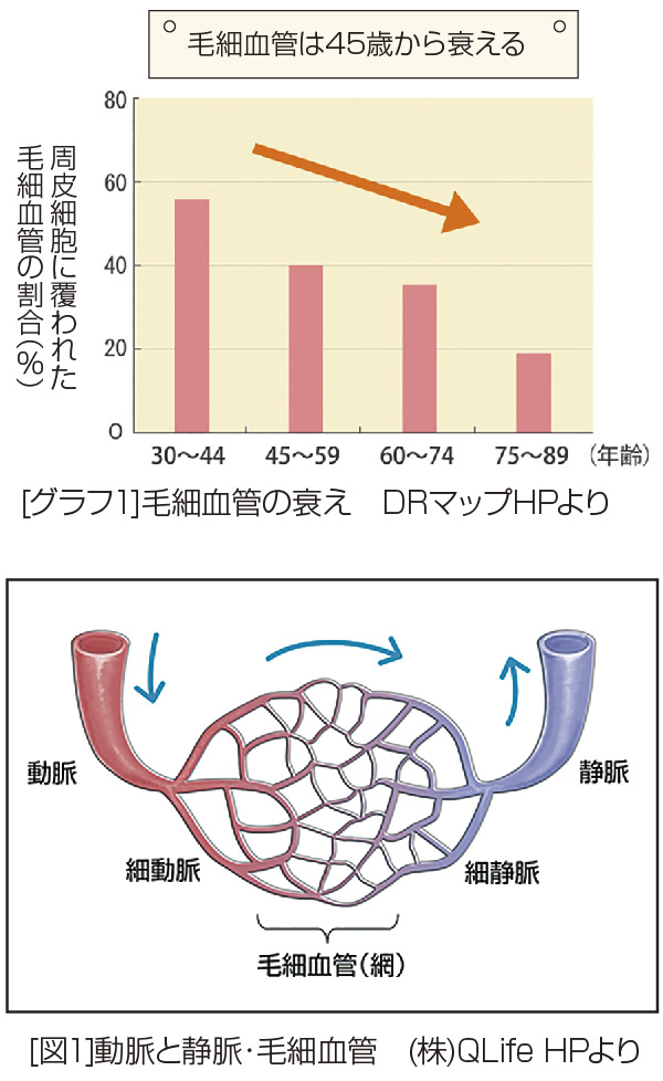 ベジタブルBOX写真