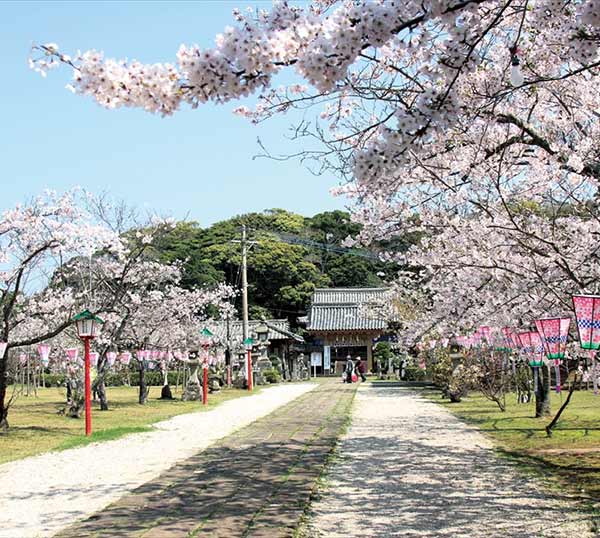 ちょびっと旅サブ写真2