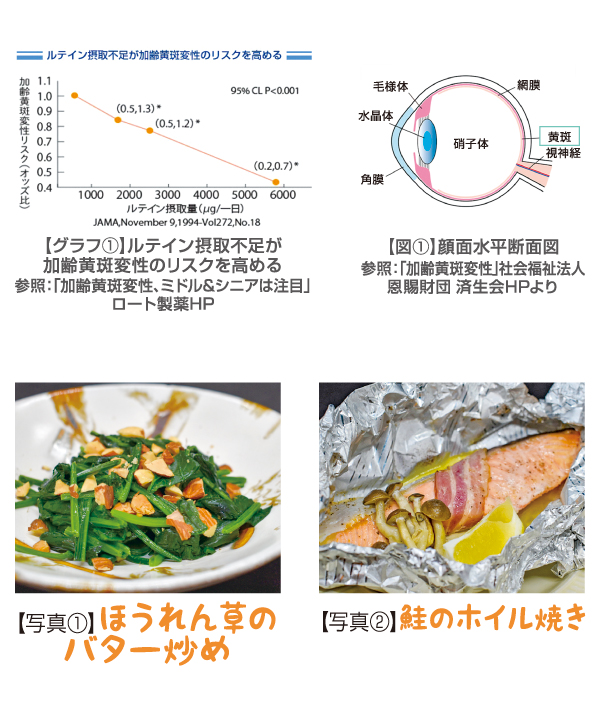 ベジタブルBOX写真