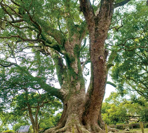 ちょびっと旅サブ写真2