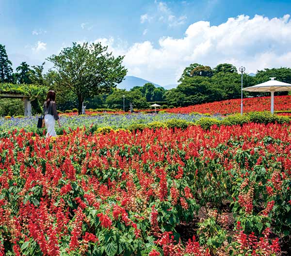 ちょびっと旅サブ写真1