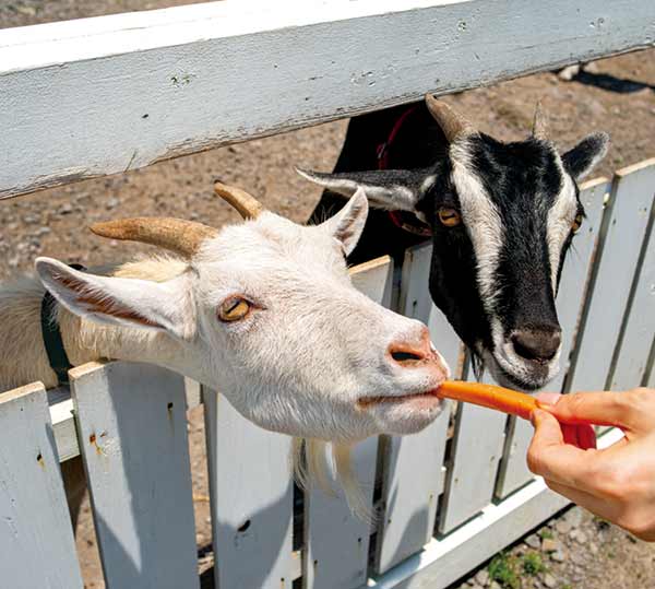 ちょびっと旅サブ写真2