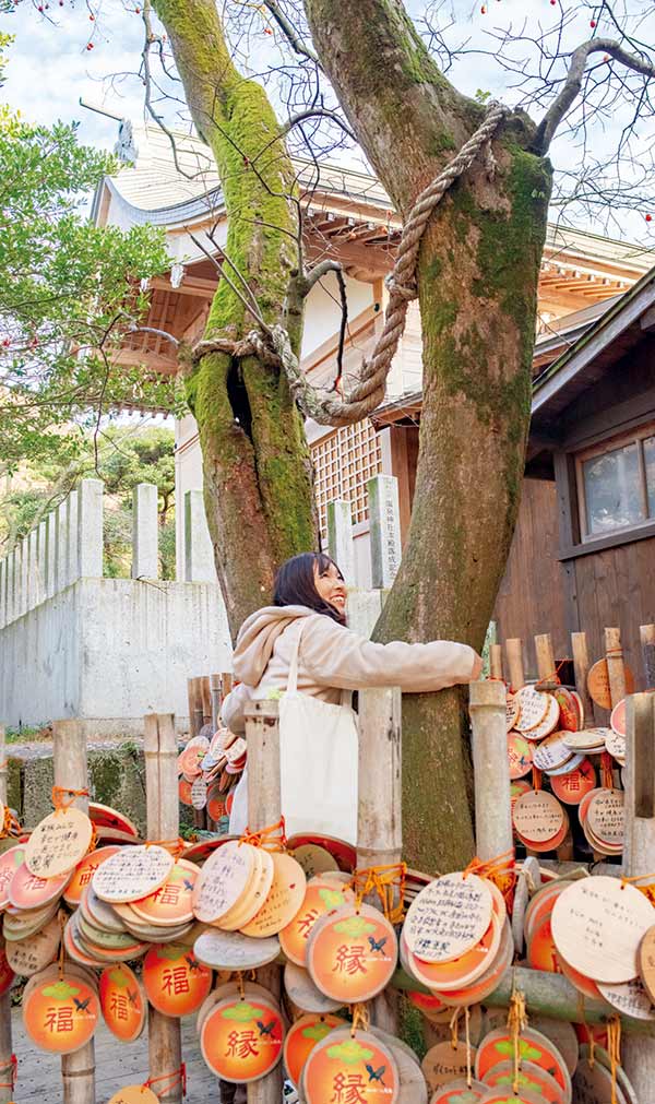 ちょびっと旅サブ写真1