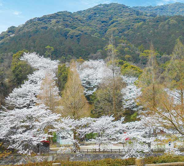 ちょびっと旅写真