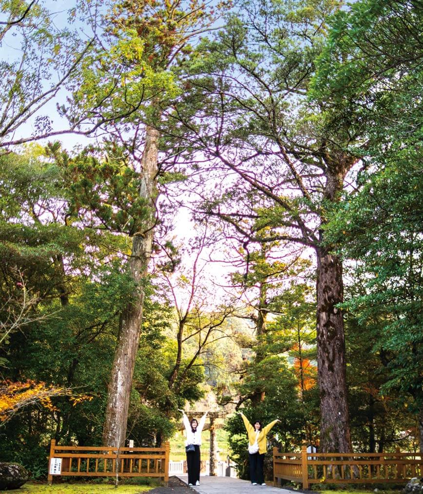 ちょびっと旅サブ写真3