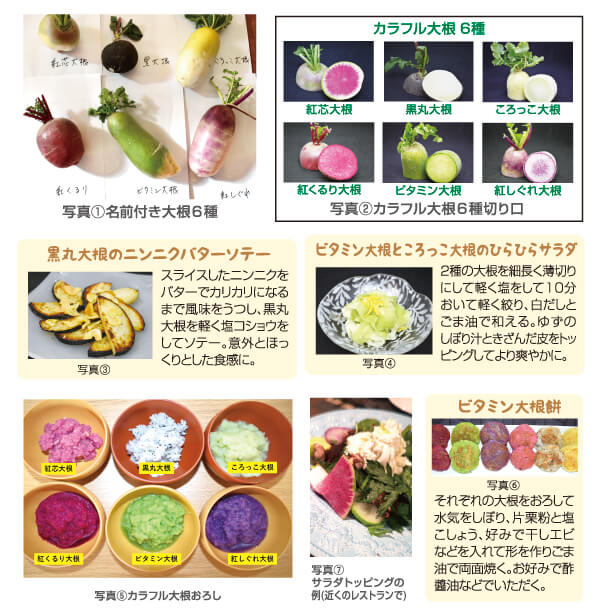 ベジタブルBOX写真